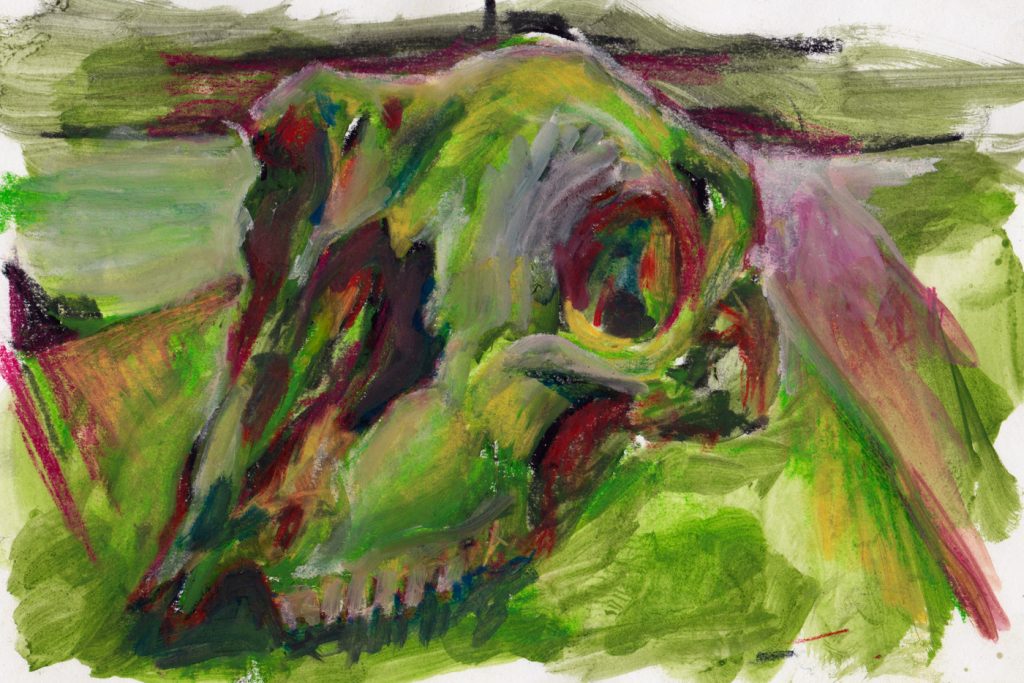 sheep-skull2