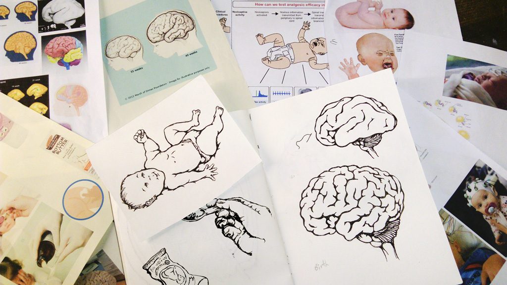 Hugh Pryor illustrations of baby brains for the department of Paediatrics 